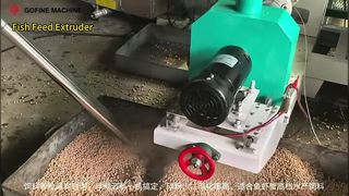 High‑Performance Wet Extruder for Floating & Suspended Fish Feed Manufacturing