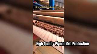 Complete Production Line to Make Pigeon Health Grit
